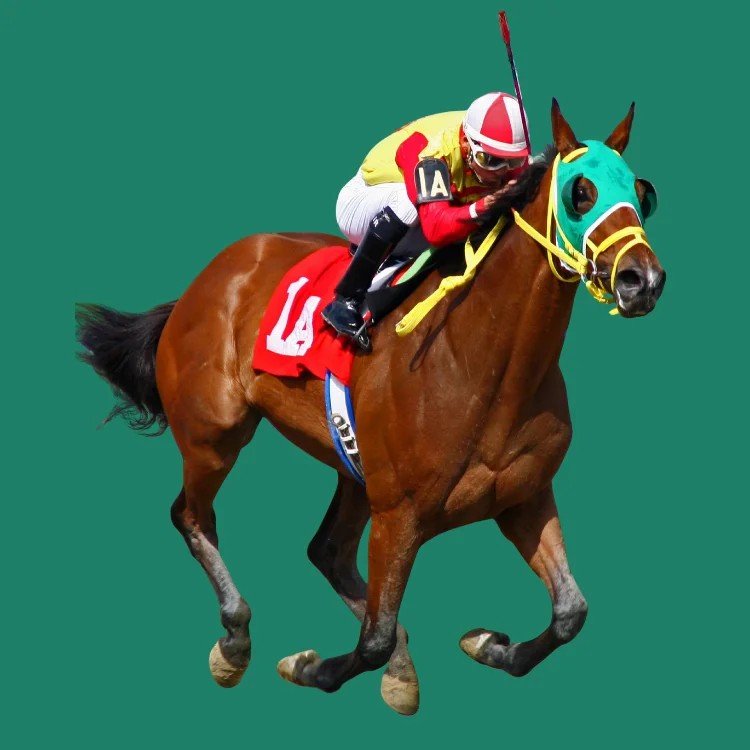 Lotus 365 Blue Horse Racing betting India